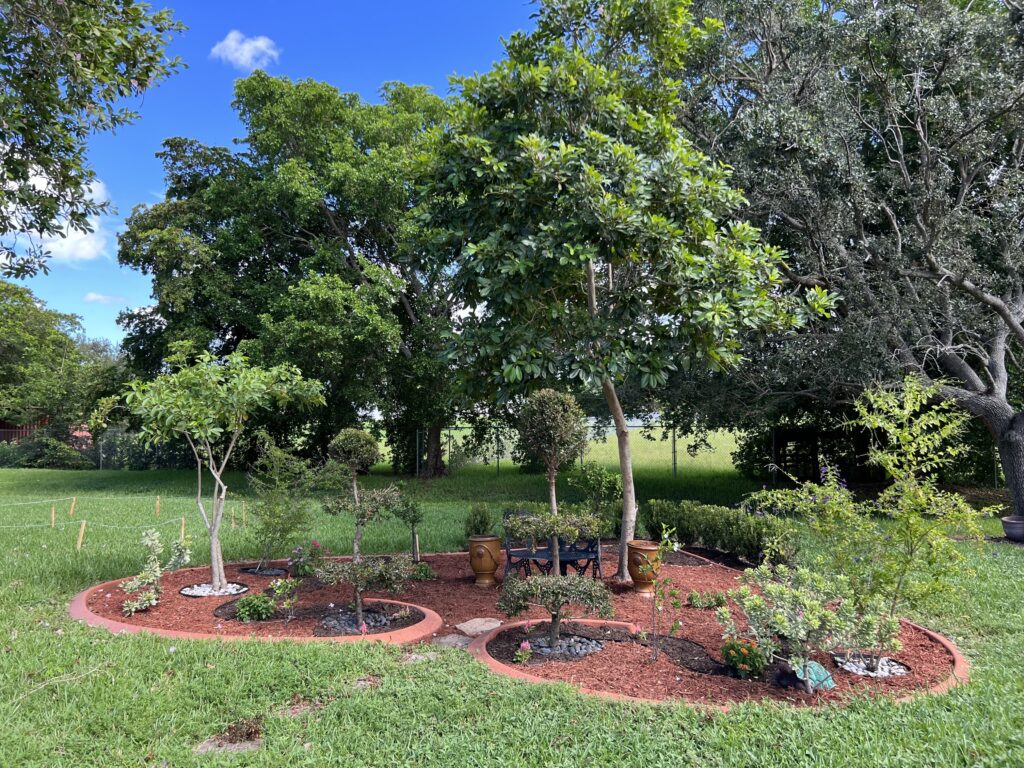 The school garden